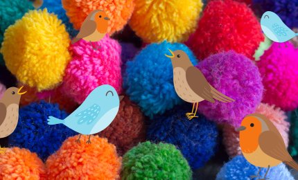 a selection of colourful pom poms with cartoon birds
